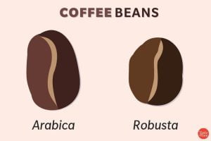 تفاوت بین قهوه عربیکا و ربوستا