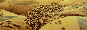 اثرات زیست محیطی ذخیره سازی قهوه سبز