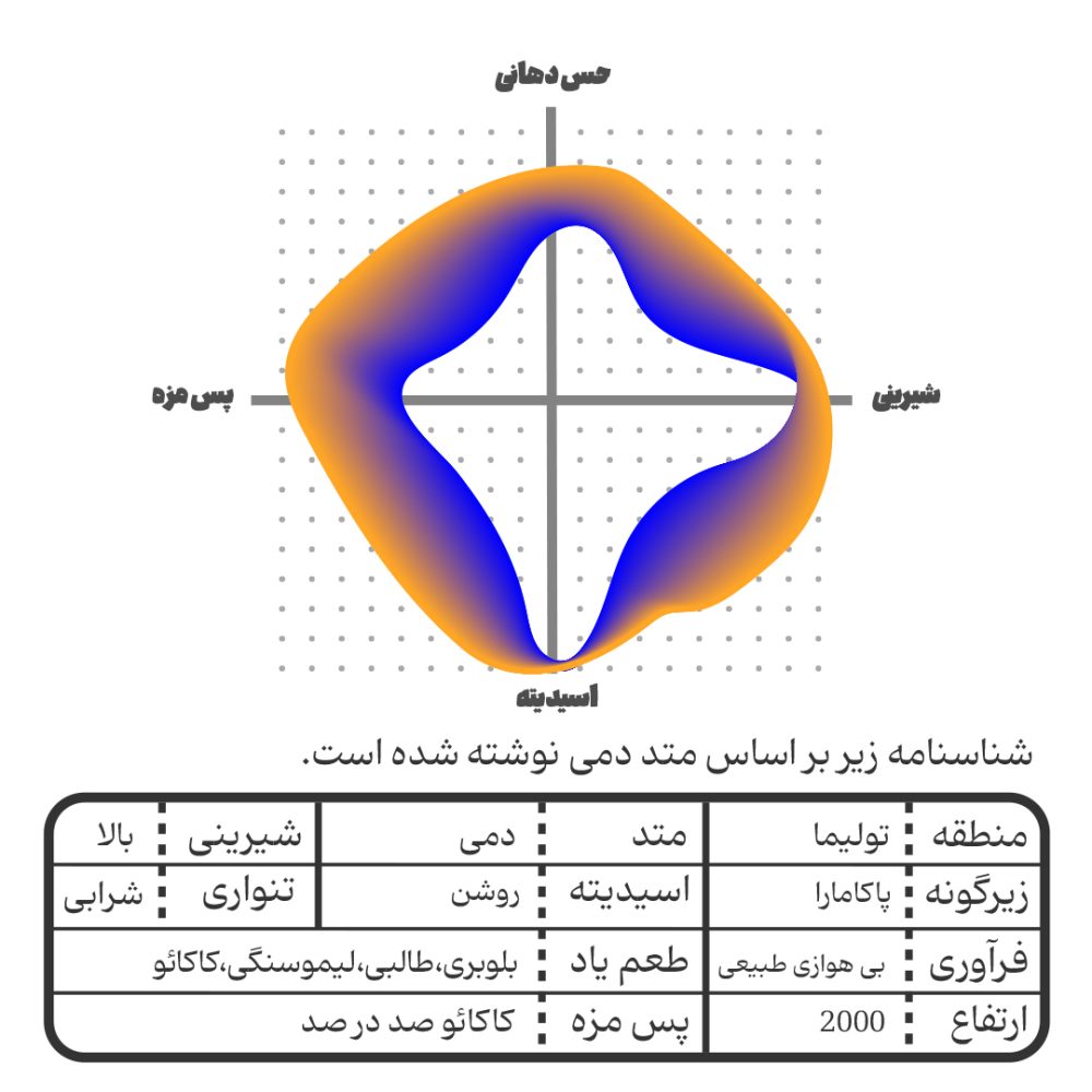 قهوه تخصصی کلمبیا پاکامارا جاینت - Image 8