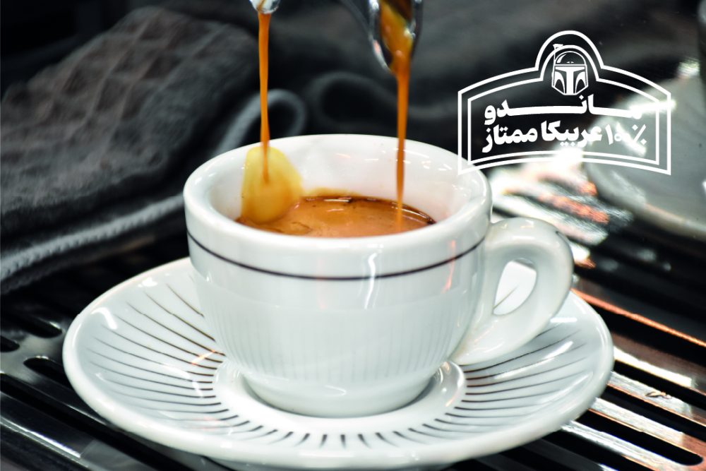 عربیکا صد در صد ماندو ردپیل