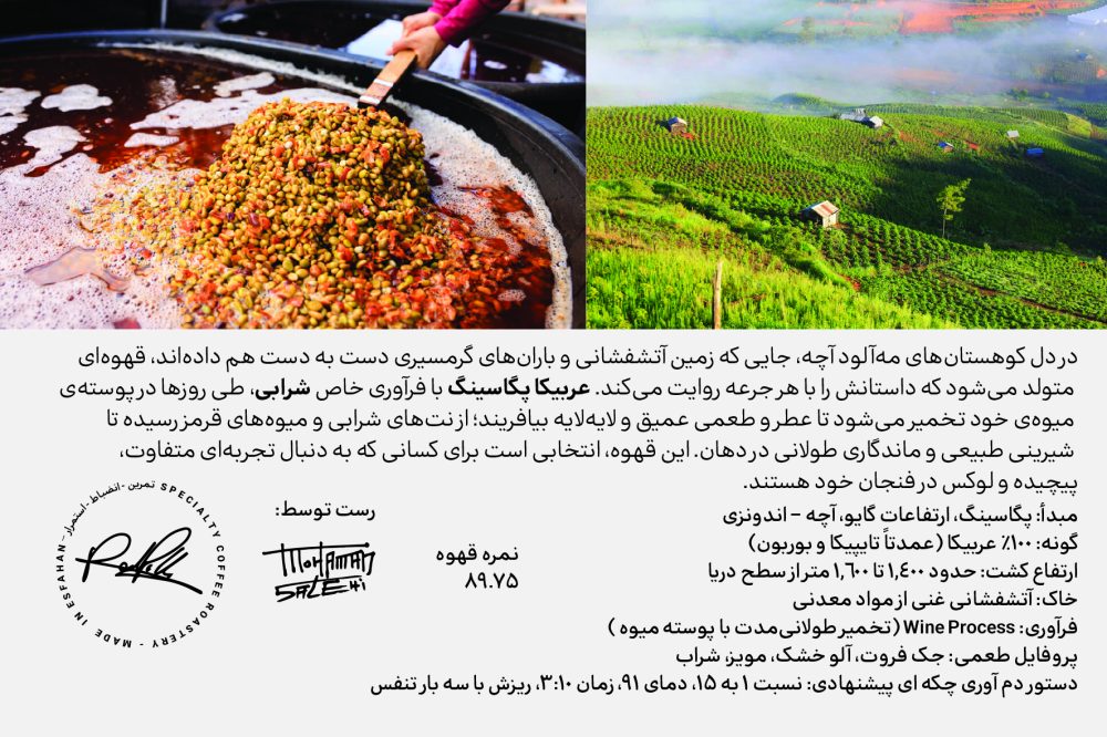 قهوه عربیکا تخصصی اندونزی پگاسینگ ردپیل
